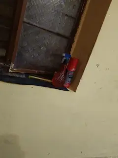 Spray Bottle and Cleaning Canister